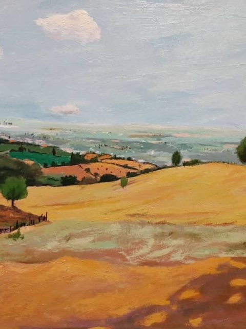 حمیدرضا فرخی